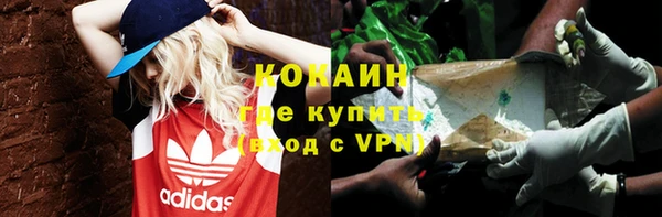 СК Протвино