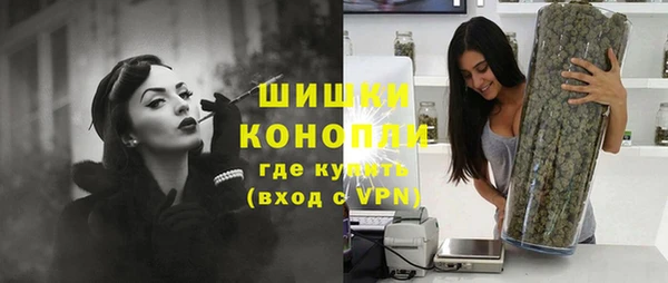 СК Протвино