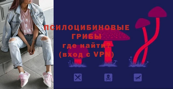 молекула духа Рославль