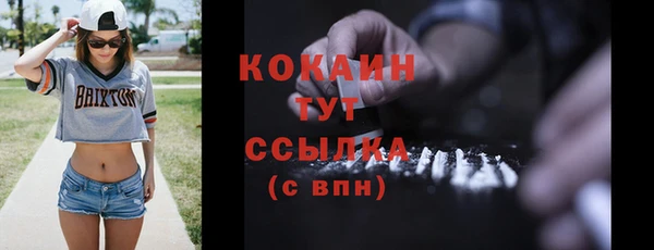 индика Дрезна