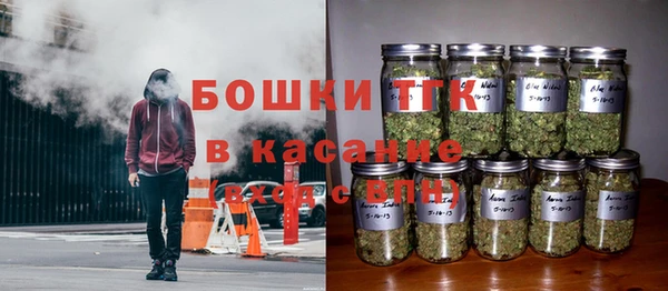 СК Протвино