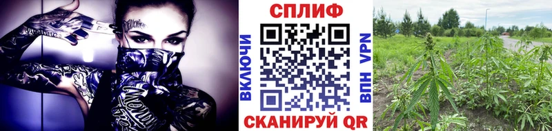 Шишки марихуана Amnesia  Любим 